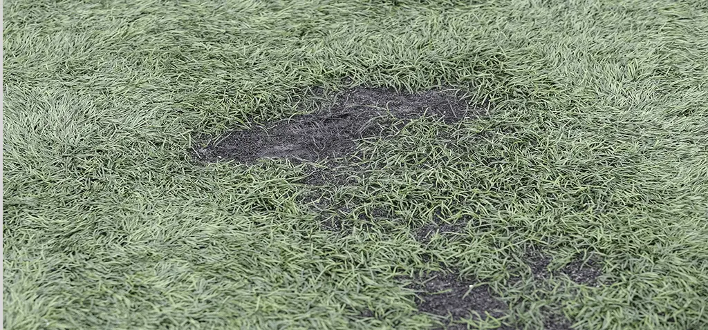 Damaged Artificial Grass