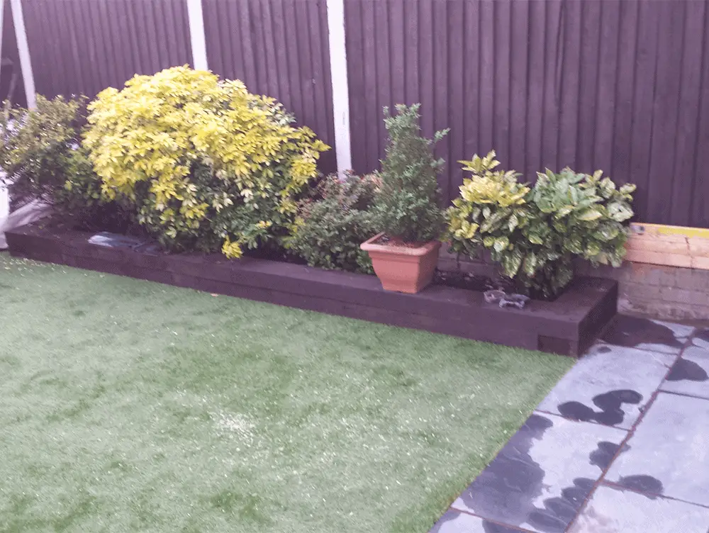Small Garden With Artificial Grass