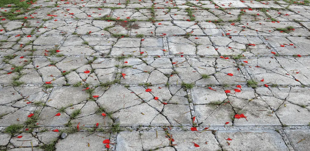 Can Artificial Grass Be Installed On Concrete 